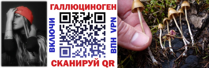 Галлюциногенные грибы ЛСД  магазин продажи   сайты даркнета клад  Углич 
